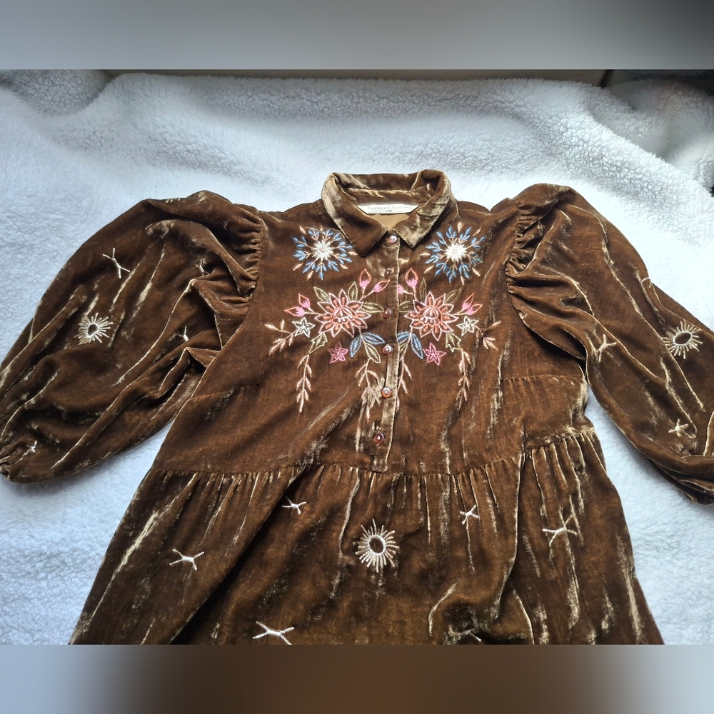 Wayward Fancies Collared Floral Embroidered Velvet Dress- Size In Description - Picture 3 of 16